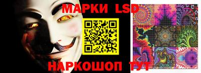 крисы Аргун