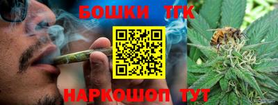 крисы Аргун