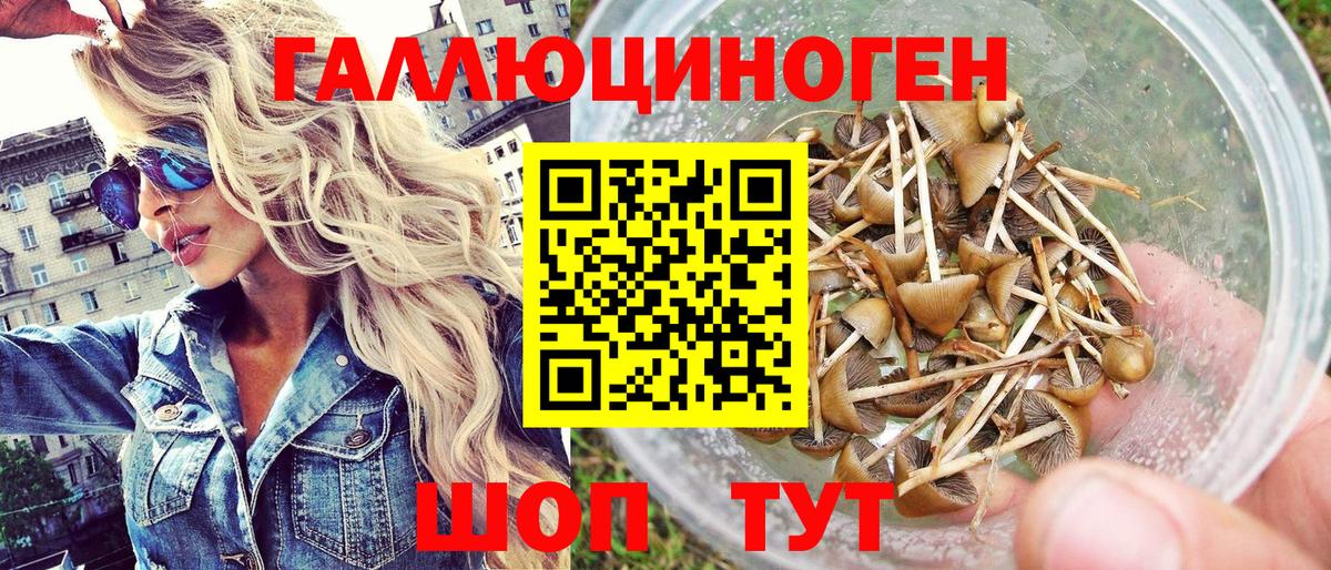 Галлюциногенные грибы ЛСД Бахчисарай